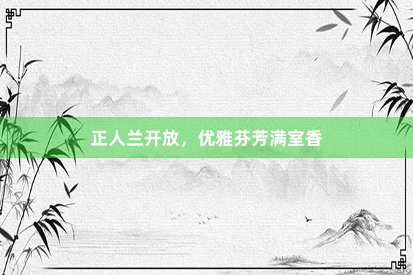 正人兰开放，优雅芬芳满室香