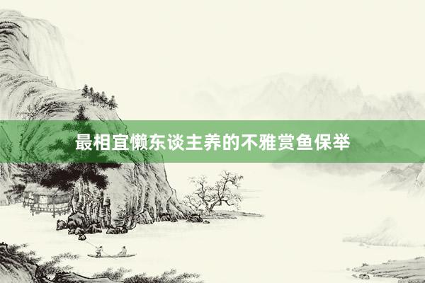 最相宜懒东谈主养的不雅赏鱼保举